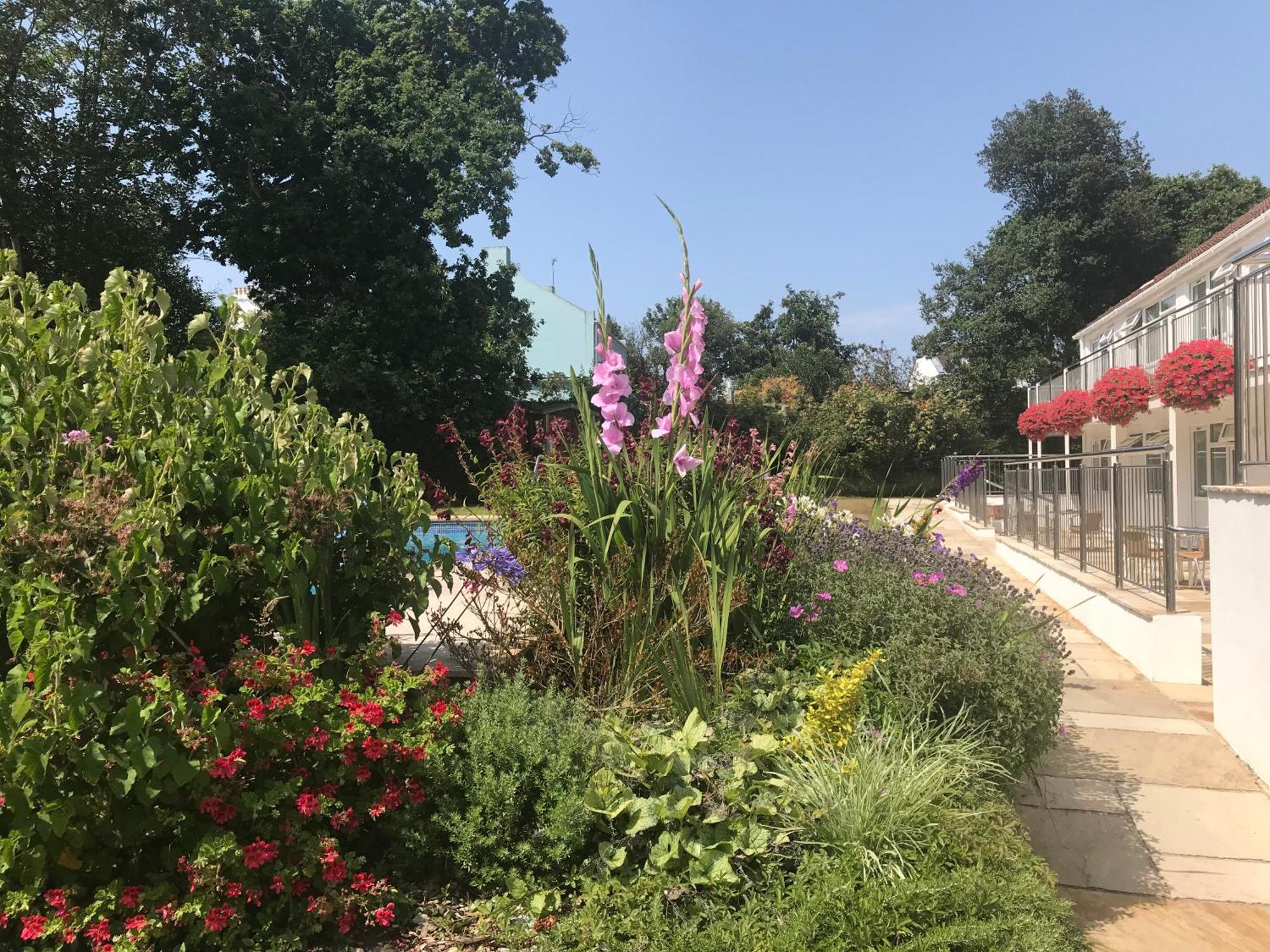 Ilex Lodge Saint Peter Port Zewnętrze zdjęcie